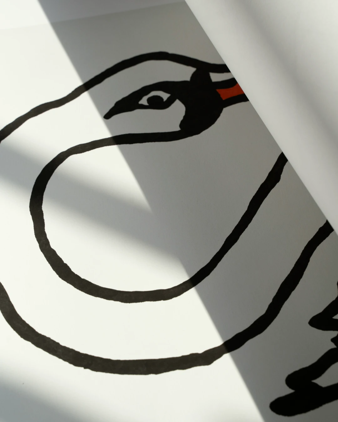 all-groups - Close-up of the swan's head and neck in bold black line with an orange beak, with diagonal shadows and sunlight across the paper.